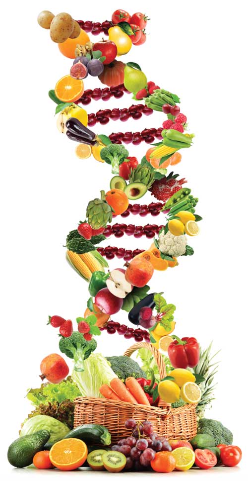 nutrigenetiks2